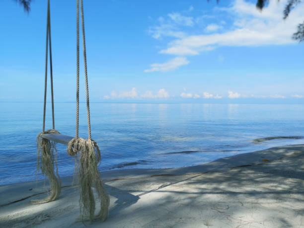 istock Wooden swing hanging from a tree on the beach in the morning with sun light. 1150528043