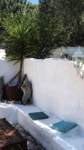 istock Palm tree in corner of cement seating wall block with lantern, plank table and sitting pads 1150528090