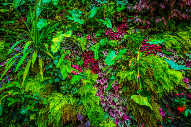 istock Flora of the tropical jungle 1150528591