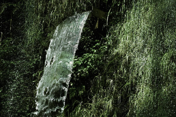 Waterfall in the jungle was dense. Shooting Location: Singapore