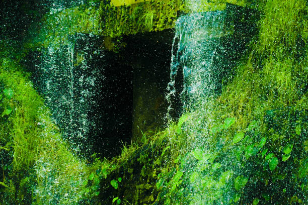 Waterfall in the jungle was dense. Shooting Location: Singapore