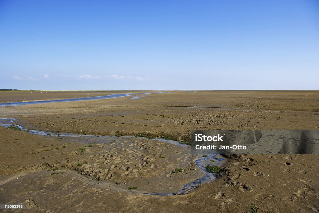 Deutsche Wade Davis "Landschaft" - Lizenzfrei Bach Stock-Foto