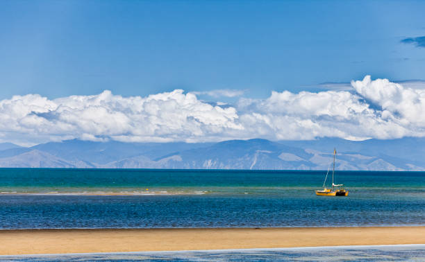 アベルタスマン国立公園ニュージーランド - abel tasman national park ストックフォトと画像