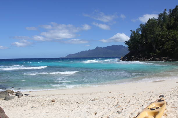 istock tropical island coconut beach 1150534055