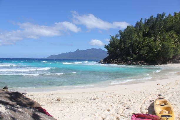 istock tropical island coconut beach 1150534106