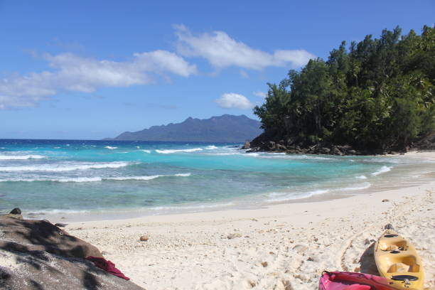 istock tropical island coconut beach 1150534778