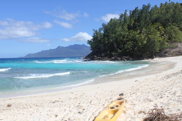 istock tropical island coconut beach 1150535089