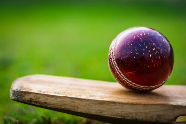 cricketball mit fledermaus - traditionelle sportarten stock-fotos und bilder