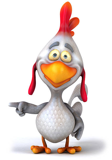 istock Cartoon drawing of a pointing chicken 115053540