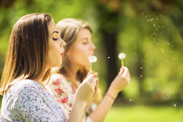 istock Two beautiful young women blowing dandelion 1150536242