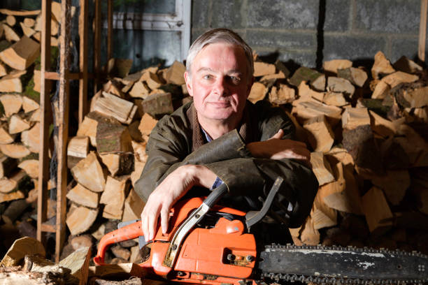 istock Countryman resting by his log pile 1150536426