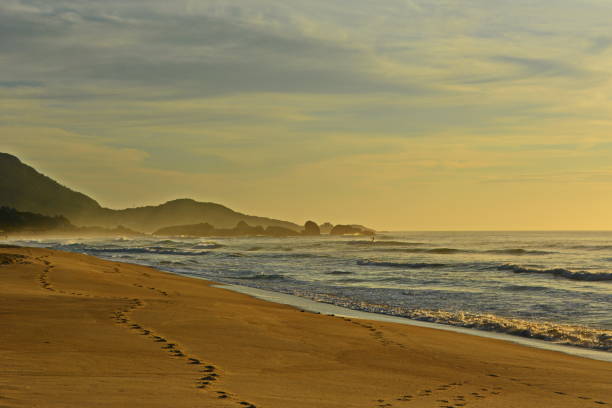 istock Sand sun and sea on beautiful Mole Beach 1150537301