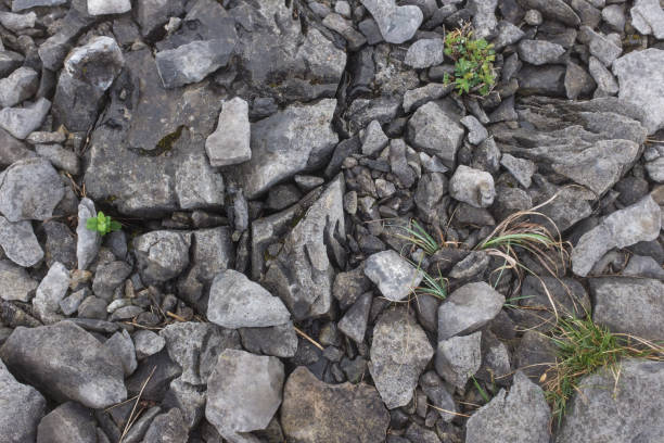 istock Rocks stones gravel pattern texture, raw land 1150539872