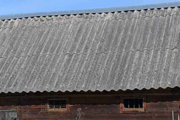 amianto no telhado da estábulo - amianto telhado eternit - fotografias e filmes do acervo