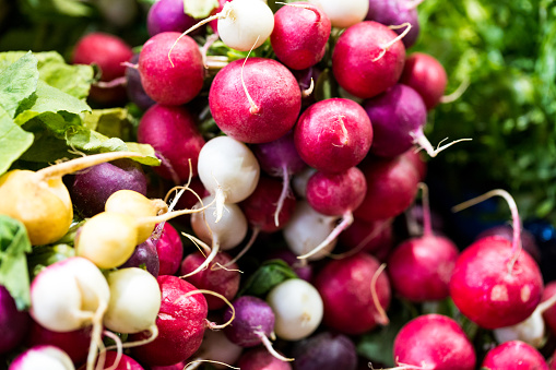Close up color image depicting a bunch of fresh ripe radishes for sale at an outdoor farmers market. Selective focus with room for copy space.