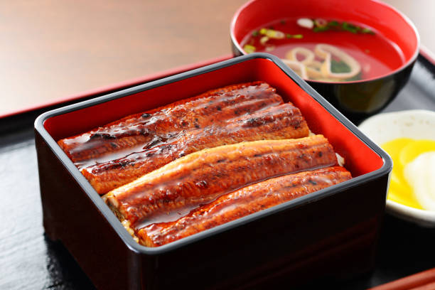 istock una-juu. Eel rice box. Japanese food. 1150545812