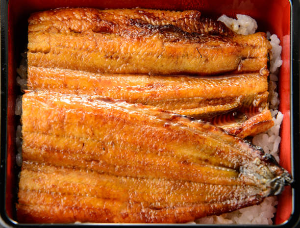 istock una-juu. Eel rice box. Japanese food. 1150546001
