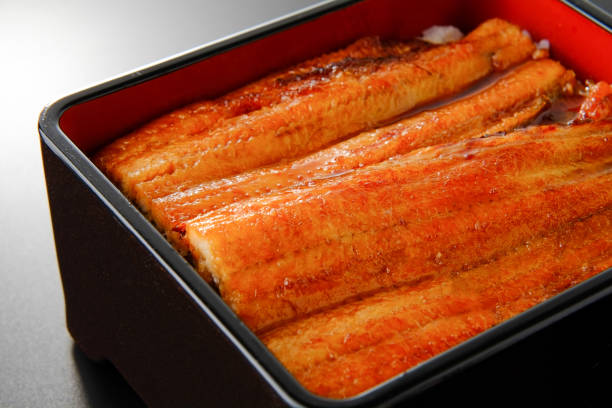 istock una-juu. Eel rice box. Japanese food. 1150546178