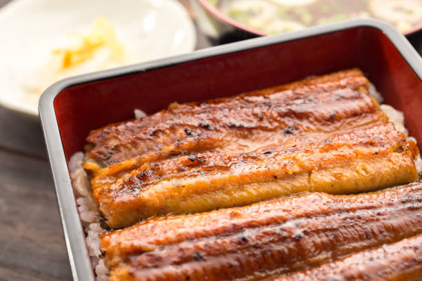 istock una-juu. Eel rice box. Japanese food. 1150546474