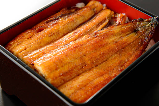 istock una-juu. Eel rice box. Japanese food. 1150546554