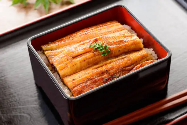 una-juu. Eel rice box. Japanese food.