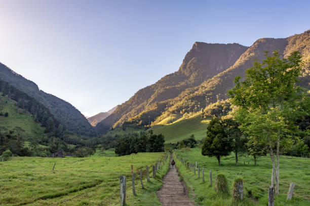 istock Hiking in Cocora Valley 1150547864