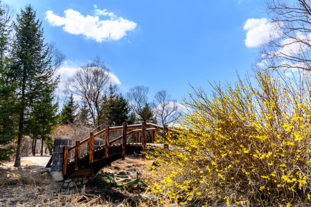 istock Jingyuetan National Forest Park, Changchun China 1150548191