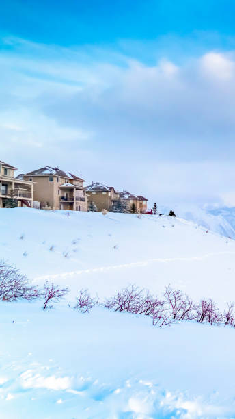 istock Vertical Panoramic view of a stunning snowy mountain against vibrant sky with clouds 1150549081