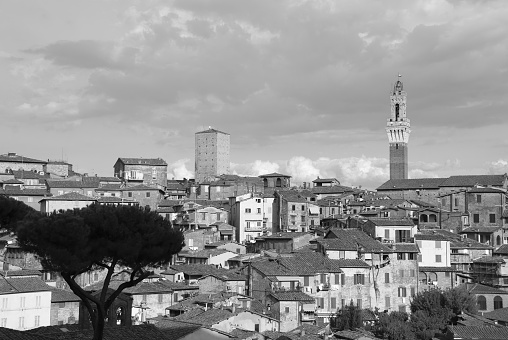 Siena, Italy - September 11, 2023 - View over the roofs of Siena towards the Torre Magna, seen from the roof of the Siena cathedral, Italy