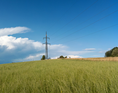 Photograph of electric power transmission towers with vegetation around, in the late afternoon.