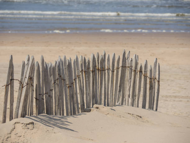 istock the beach of katwijk an zee 1150554041