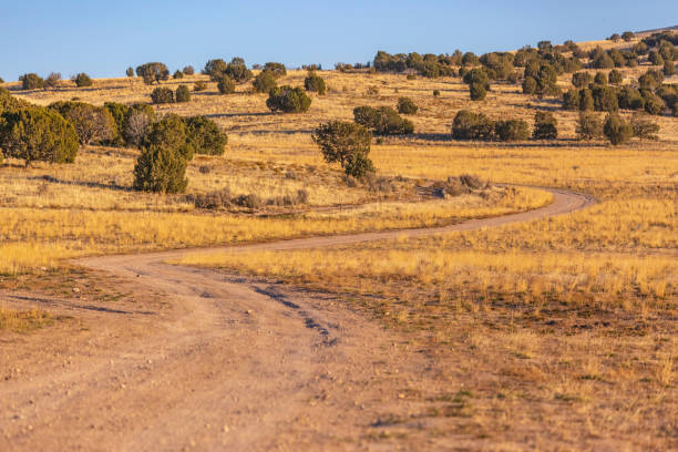 istock Unpaved trail winding through a vast grassy terrain viewed on a sunny day 1150556782