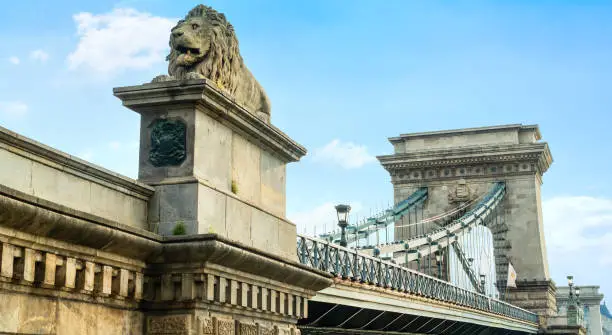 Photo of Lion on Chain bridge