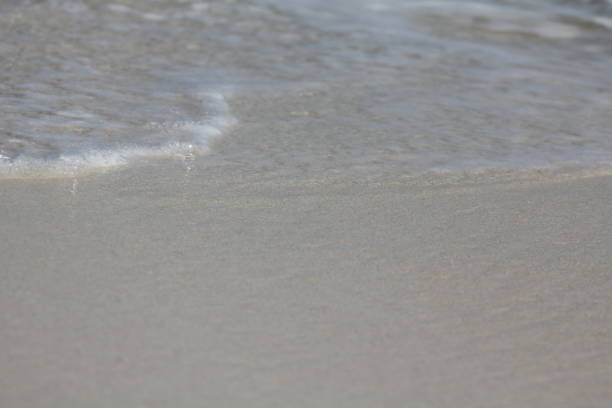 istock tropical island beach sun sand 1150565192