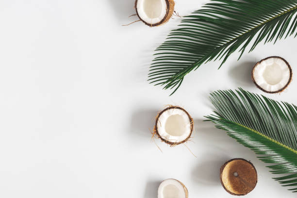 istock Summer composition. Coconut, palm leaf on pastel gray background. Summer concept. Flat lay, top view, copy space 1150565297
