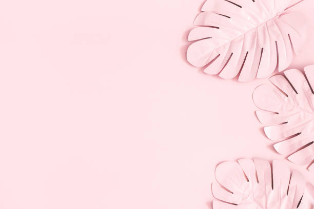 istock Summer composition. Tropical palm leaves on pink background. Summer concept. Flat lay, top view, copy space 1150565592
