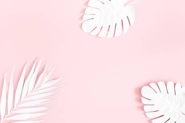 istock Summer composition. White tropical palm leaves on pink background. Summer concept. Flat lay, top view, copy space 1150565887