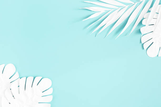 istock Summer composition. White palm leaves on blue background. Summer concept. Flat lay, top view, copy space 1150566002
