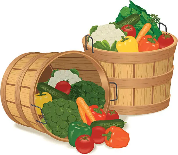 Vector illustration of Bushel Baskets Full of Various Vegetables