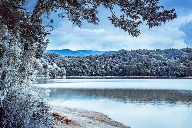 Icy Winter Mountain Lake - Snow-covered Forest Trees - The Smoky Mountains - Fontana Lake, North Carolina