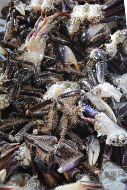 istock ready to cook clean and frozen crab 1150568351