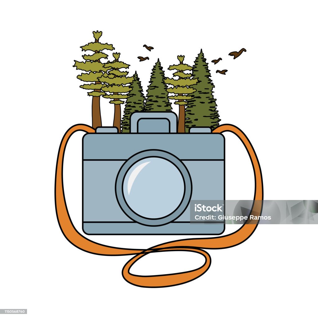 Tree Camera Drawing Pines Trees Forest Scene With Camera Stock Illustration - Download ...