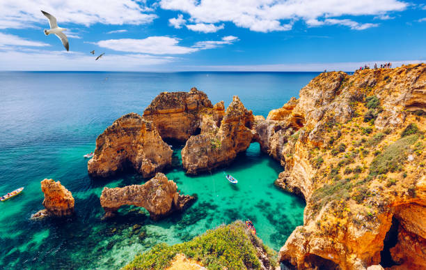 Panoramic view, Ponta da Piedade with seagulls flying over rocks near Lagos in Algarve, Portugal. Cliff rocks, seagulls and tourist boat on sea at Ponta da Piedade, Algarve region, Portugal. Panoramic view, Ponta da Piedade with seagulls flying over rocks near Lagos in Algarve, Portugal. Cliff rocks, seagulls and tourist boat on sea at Ponta da Piedade, Algarve region, Portugal. algarve holiday stock pictures, royalty-free photos & images