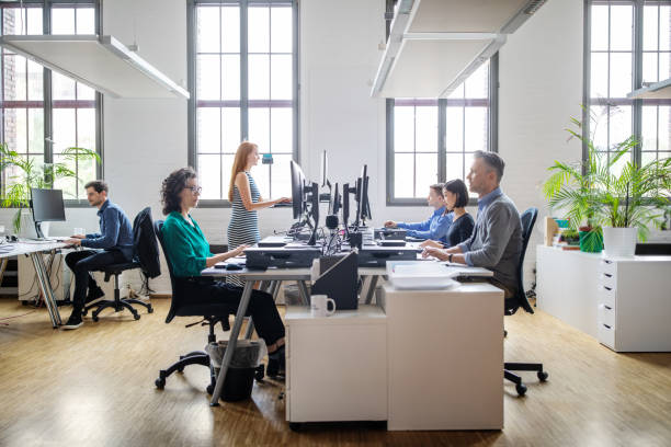 Business people working at a modern office Business people at their desks in a busy, open plan office. Startup business people working at a modern office. white collar worker stock pictures, royalty-free photos & images