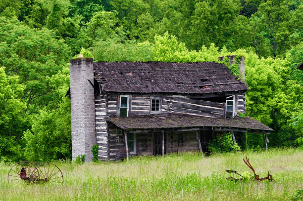 istock Abandoned Homestead in rural Virginia 1150573247