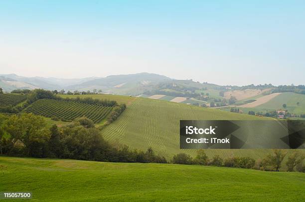 Foto de Italiano Hills e mais fotos de stock de Agricultura - Agricultura, Campo, Celeiro