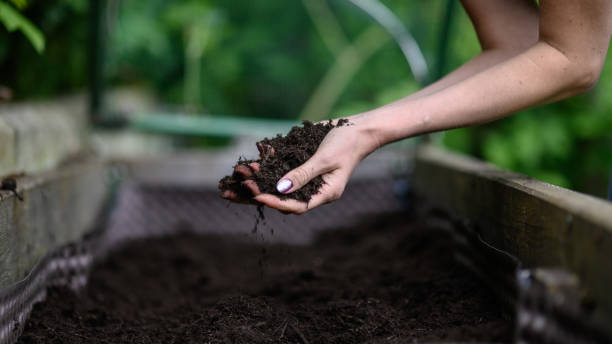 istock Woman working on her garden 1150576698