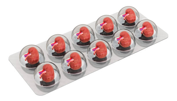 istock Medicines for kidney disease, concept. 3D rendering isolated on white background 1150582056