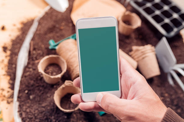 istock Smartphone screen mock up for gardening and seeding app 1150584042