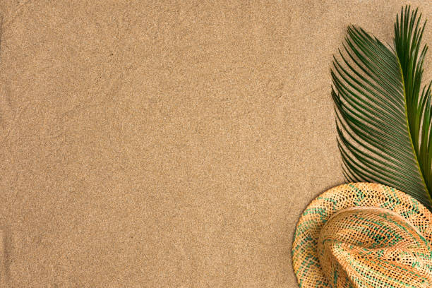 istock Minimalist summer flat lay with, palm leaves and panama hat on sand background 1150585224
